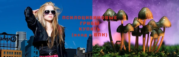 а пвп мука Алзамай