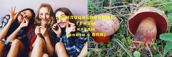 прущая мука Алексин
